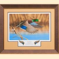 fine arts framing framingham risk score australia message framing betekenis 24362156 attribute communicatie analysis adalah an approach to news discourse example from a r 350x350